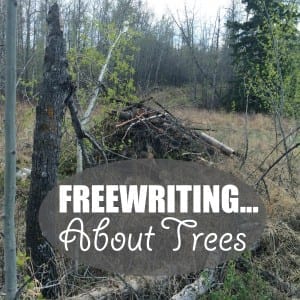 Freewriting... About Trees
