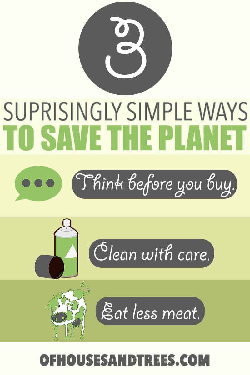 Ways to Help the Environment | Looking for simple ways to help the environment on a day to day basis? Think before you buy, clean with care and eat less meat. That's it!