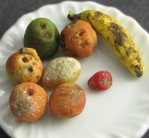 Decomposing Fruit