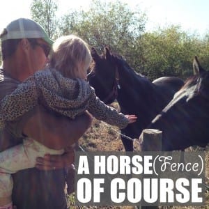 Featured Image (horsefence-LMS)