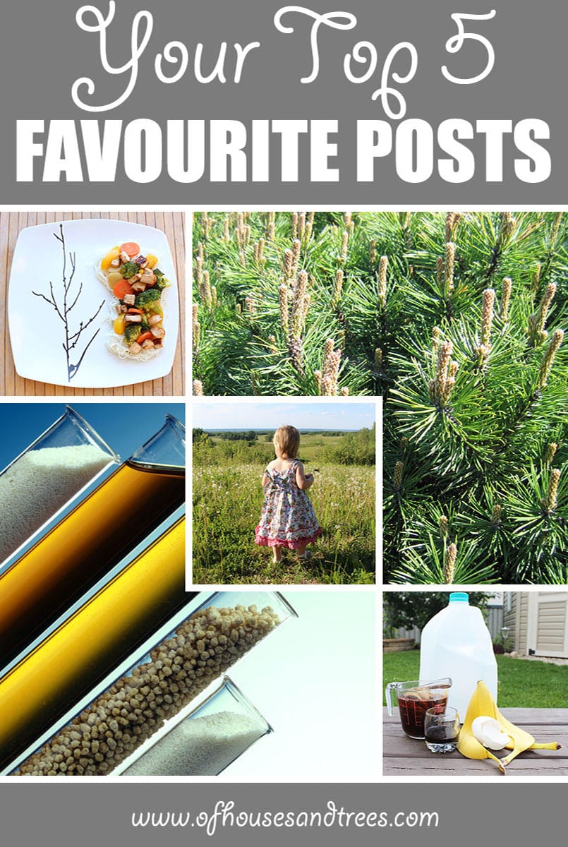 Favourite Blog Posts | Happy anniversary to me and Of Houses and Trees! Here are the top five favourite blog posts that received the most visits since March 31, 2016.