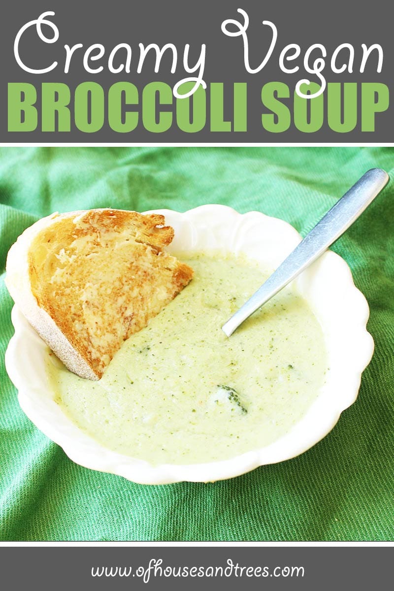 Healthy Broccoli Soup | Thick and creamy vegan broccoli soup... without the cream. Safe for vegans, lactose-intolerants and calorie counters alike. And it's delicious too!