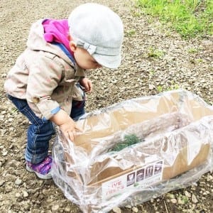Planting a sapling is so easy - even kids can do it!