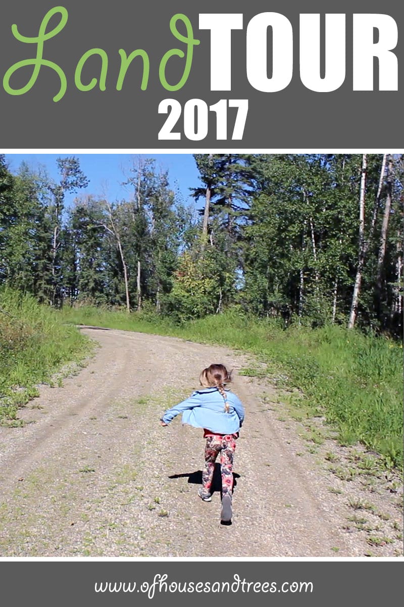 Land Tour | Welcome to my land tour! We're building a house here, but for now it's just 40 acres of rolling hills, trees and undergrowth in central Alberta, Canada.