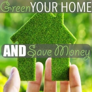 Green Your Home by Of Houses and Trees | Here are five ways you can green your home and save a few dollars all at the same time, including shopping secondhand, cleaning with vinegar and... sharing!