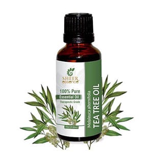 Tea tree oil essential oil from Sheer Essence. Available through Etsy.
