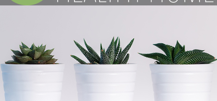 Whether you want to protect your family from chemicals or to do your part greening our planet - these are both great reasons to create a healthy home!