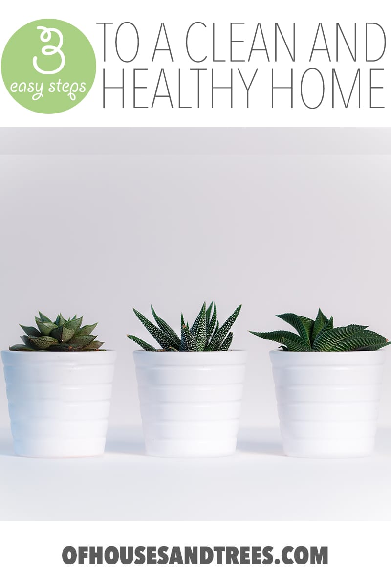 Whether you want to protect your family from chemicals or to do your part greening our planet - these are both great reasons to create a healthy home!