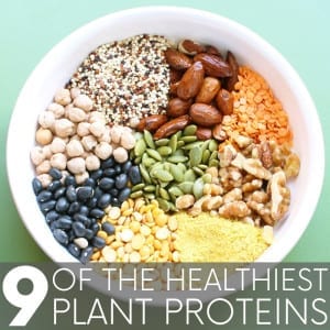 What are the best plant protein foods and just how much protein is in each? Almonds, chickpeas, quinoa, a seasoning that subs for cheese - and more!