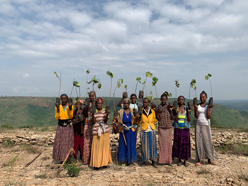 Living a more eco-conscious lifestyle doesn't happen overnight. It's about doing just a little bit better every day. Start with simple ways to go green - and then build from there. Like using a search engine that plants trees!