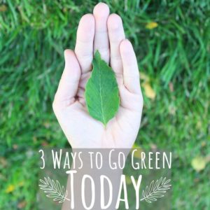 Being green isn't about being perfect. It's about trying to do a little bit better every day. Here are three simple green living tips you can follow to get started - right now!