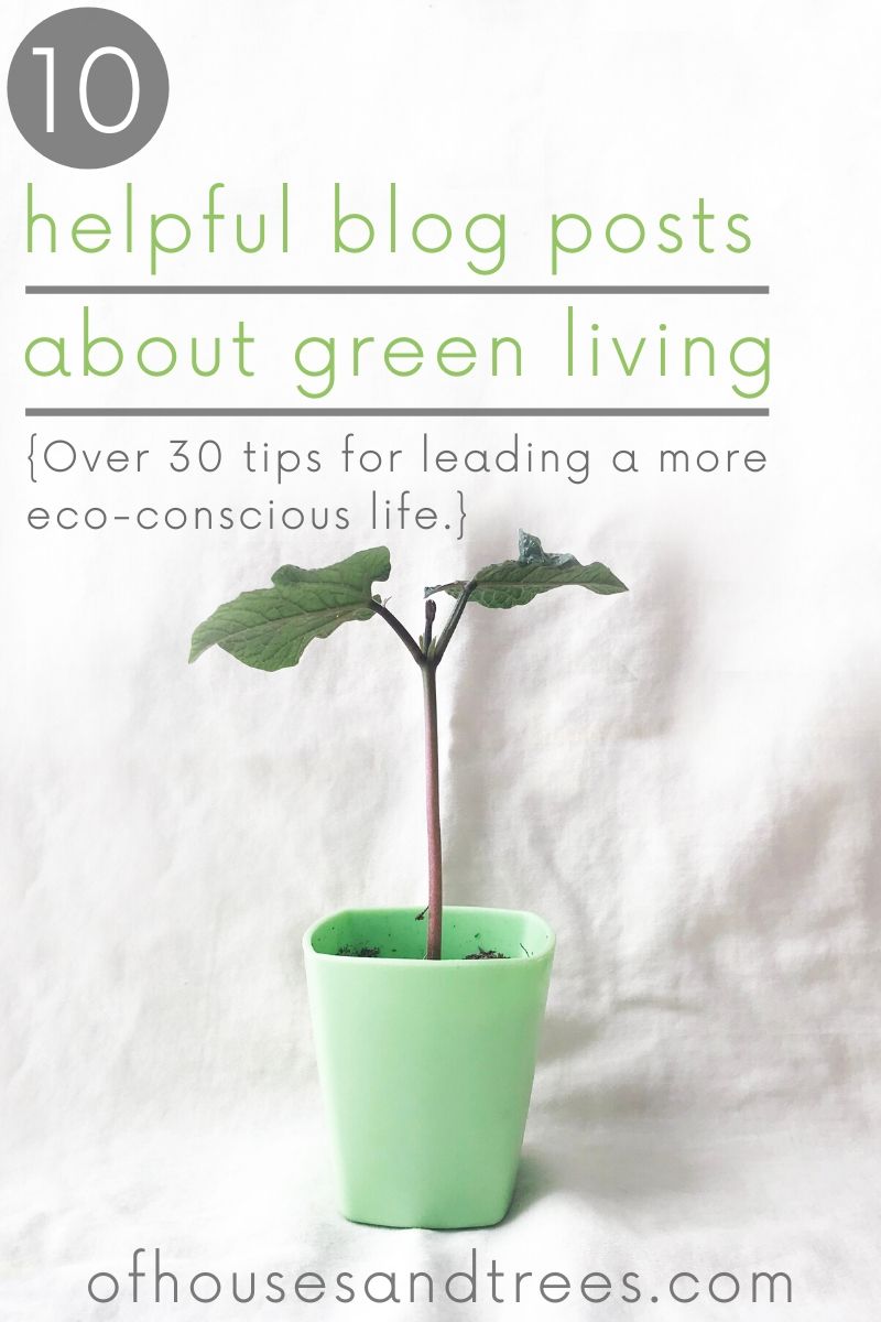 Whether you're starting out or well on your way, these 10 blog posts offer over 30 green living tips sure to help you live your most eco-conscious life.