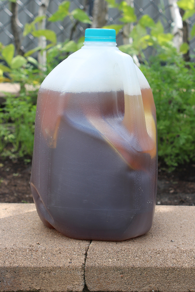 Banana peels, black tea, molasses and eggshell make up a super easy organic home garden fertilizer. Just add to an empty jug, mix with rainwater and go!