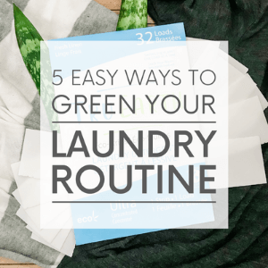 Laundry, laundry strips and green leaves on the floor with the words "5 ways ti green your laundry routine." Click to visit post.