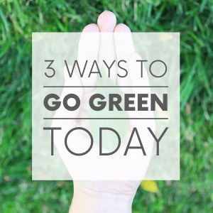 A hand holding a leaf on a background of grass with the words "3 ways to go green today." Click to visit post.