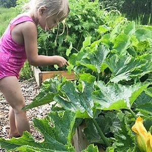 A little girl looking at a garden. Click to visit post.