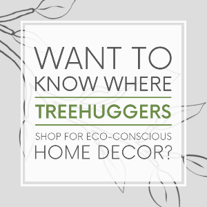 A grey banner with text "want to know were treehuggers shop for eco-conscious home decor?"