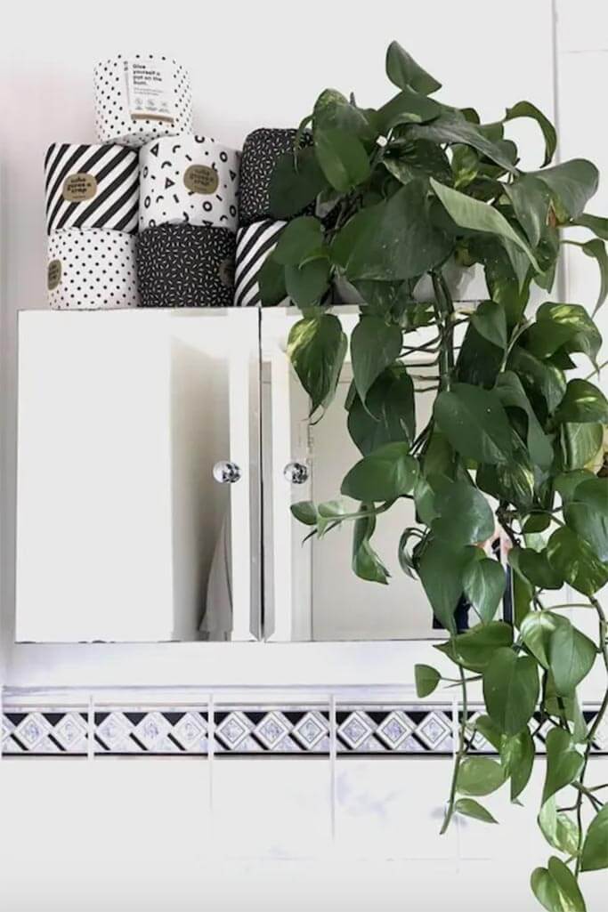 A stack of zero waste toilet paper on a bathroom cabinet.