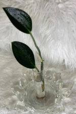 Stunning Cost Effective Sustainable Decorating Ideas image
