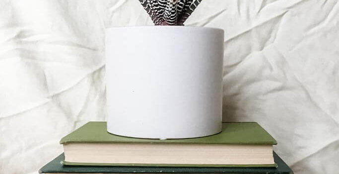 A plant in a white pot sitting on three books with green covers.