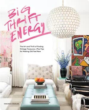 Book cover for Big Thrift Energy.