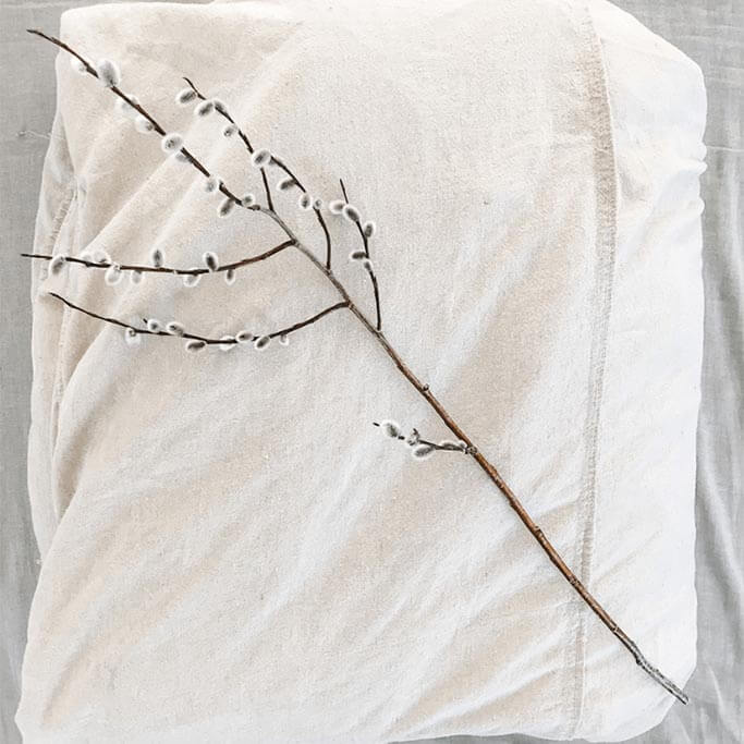 A branch of pussy willows sitting on a folded off-white duvet.