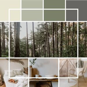 Four paint colours - an off-white, a light green, a dark green and a dark grey along with photos of a forest and interior spaces.