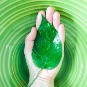 A hand submerged in water holding a green leaf.