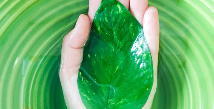 Which Off Grid Water System is Best for You and Your Home? A hand submerged in water holding a green leaf.